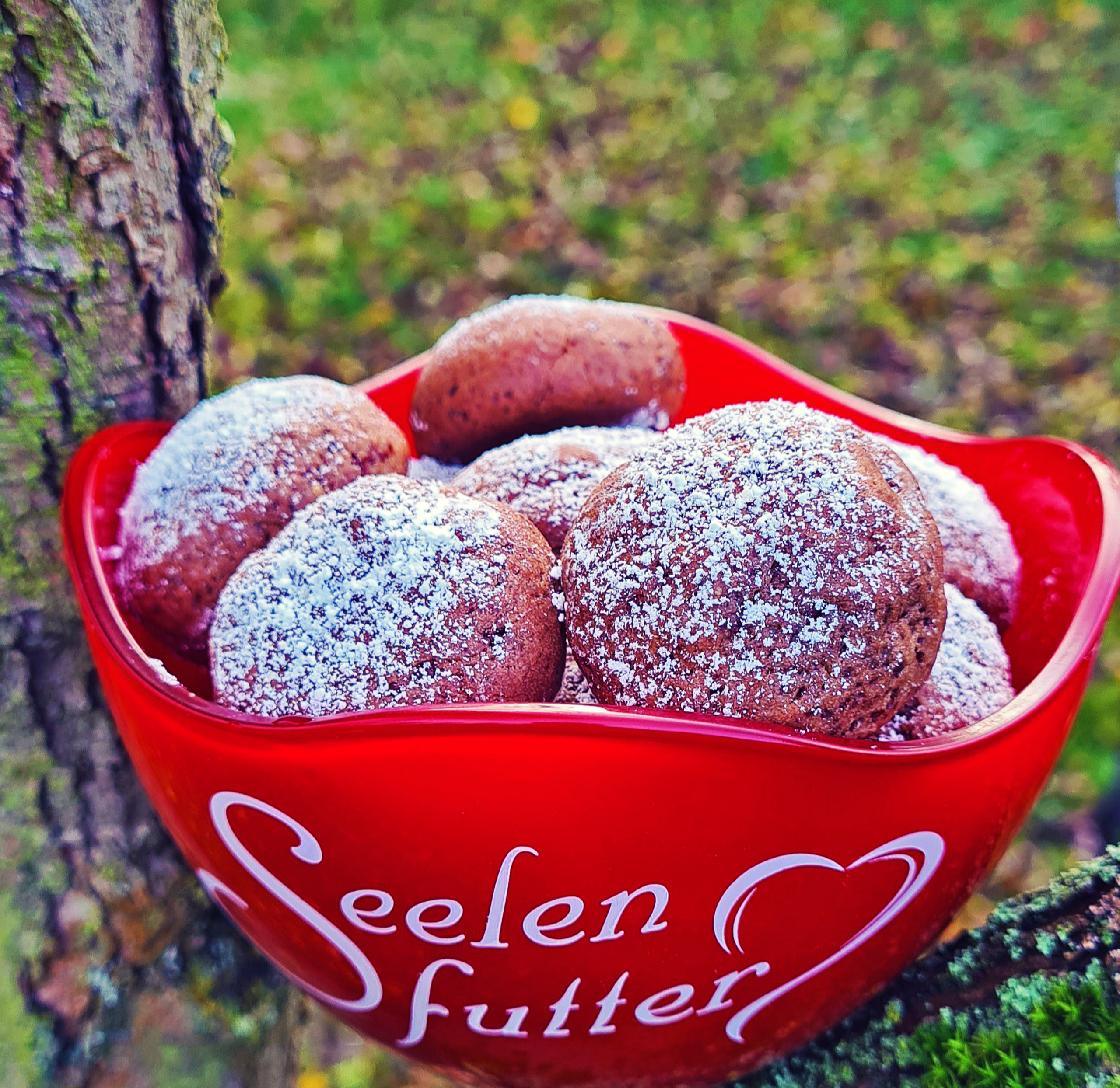 Schoko Orangen Plätzchen